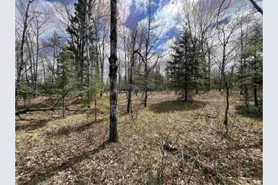 Nejedlo Road, Wausaukee, WI 54177 - Photo 1