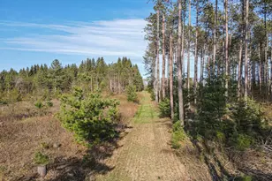 8545 Co Rd V, Suring, WI 54174 - Photo 35