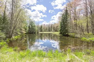8545 Co Rd V, Suring, WI 54174 - Photo 37