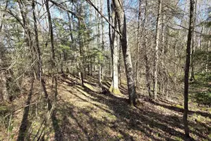 W7793 Bergeson Ln, Amberg, WI 54102 - Photo 37