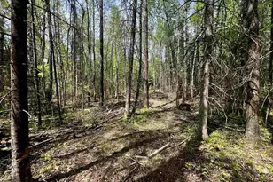 W7793 Bergeson Ln, Amberg, WI 54102 - Photo 13