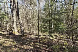 W7793 Bergeson Ln, Amberg, WI 54102 - Photo 39