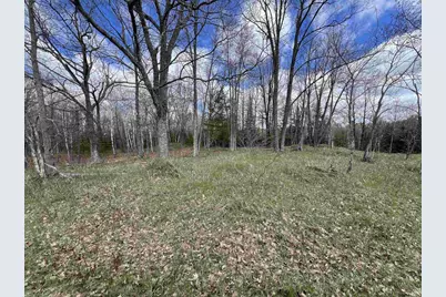 Nejedlo Road, Wausaukee, WI 54177 - Photo 5