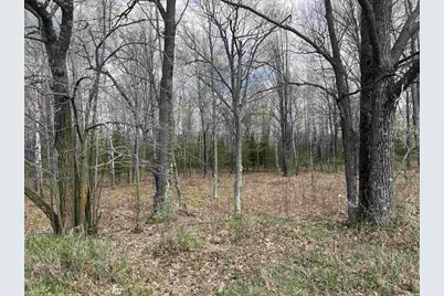 Nejedlo Road, Wausaukee, WI 54177 - Photo 3