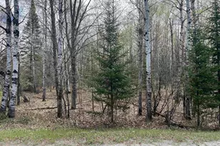 Nejedlo Rd, Wausaukee, WI 54177 - Photo 1