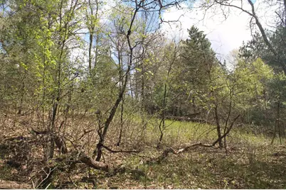 8th Road, Westfield, WI 53964 - Photo 7