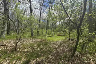 N4106 9th Ln, Hancock, WI 54943 - Photo 37