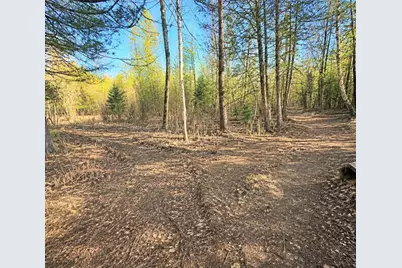 12.5 Road, Wallace, MI 49893 - Photo 1