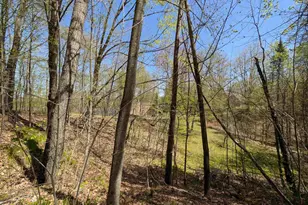 16651 Dolittle Ln, Townsend, WI 54175 - Photo 33