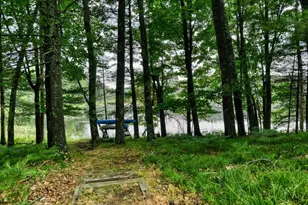 W10038 Merriman Lake Dr, Dunbar, WI 54119 - Photo 37