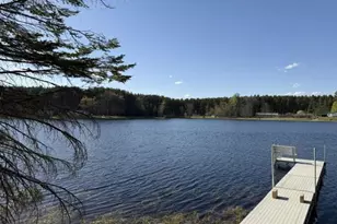 W10038 Merriman Lake Dr, Dunbar, WI 54119 - Photo 39