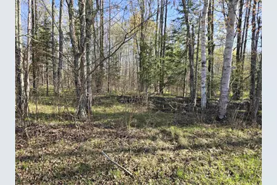 14149 Section 4 Lane, Mountain, WI 54149 - Photo 23
