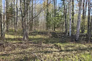 14149 Section 4 Ln, Mountain, WI 54149 - Photo 23