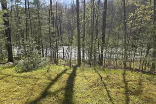 14149 Section 4 Ln, Mountain, WI 54149 - Photo 17