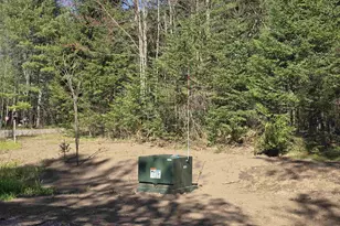 14149 Section 4 Ln, Mountain, WI 54149 - Photo 21