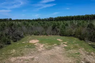 N3694 Hwy 73, Wautoma, WI 54982 - Photo 19