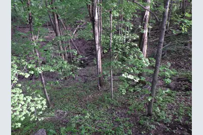 E7696 Horn Road, Marion, WI 54950 - Photo 51