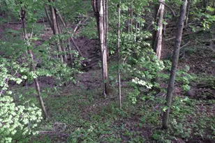 E7696 Horn Rd, Marion, WI 54950 - Photo 51