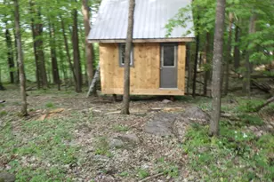 E7696 Horn Rd, Marion, WI 54950 - Photo 59