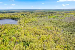 N6828 Springbrook Rd, Cecil, WI 54111 - Photo 67