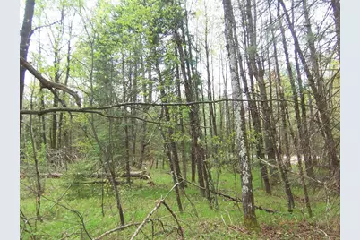 Kosir Lane, Athelstane, WI 54104 - Photo 9