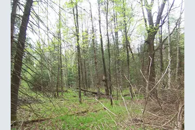 Kosir Lane, Athelstane, WI 54104 - Photo 11