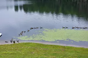 N8772 Beauleau Lake Ln, Gresham, WI 54128 - Photo 57