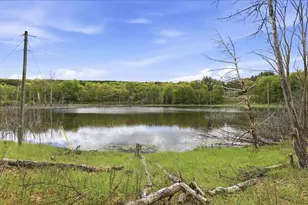 N5367 15th Dr, Wild Rose, WI 54984 - Photo 29