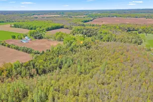 N9968 Hemlock Rd, Birnamwood, WI 54414 - Photo 49