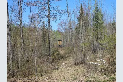 19081 N Erickson Road, Dunbar, WI 54119 - Photo 67