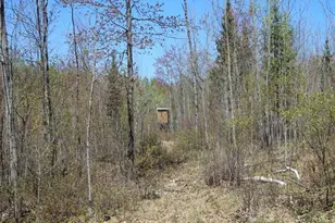 19081 N Erickson Rd, Dunbar, WI 54119 - Photo 67