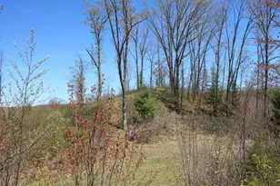 19081 N Erickson Rd, Dunbar, WI 54119 - Photo 41
