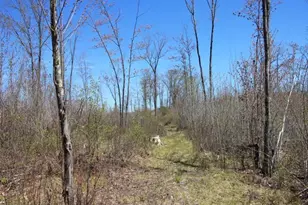 19081 N Erickson Rd, Dunbar, WI 54119 - Photo 39