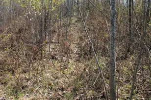 19081 N Erickson Rd, Dunbar, WI 54119 - Photo 73