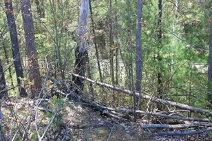 19081 N Erickson Rd, Dunbar, WI 54119 - Photo 37