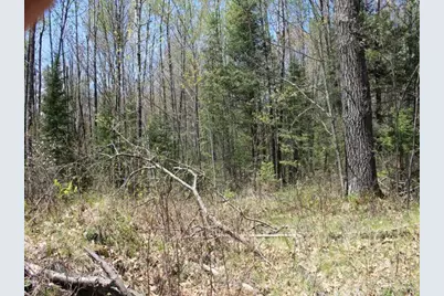 19081 N Erickson Road, Dunbar, WI 54119 - Photo 61