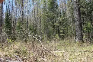 19081 N Erickson Rd, Dunbar, WI 54119 - Photo 61
