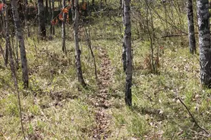 19081 N Erickson Rd, Dunbar, WI 54119 - Photo 55