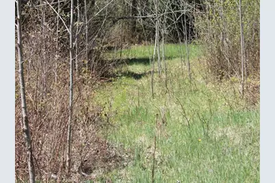 19081 N Erickson Road, Dunbar, WI 54119 - Photo 63