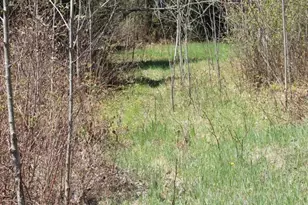 19081 N Erickson Rd, Dunbar, WI 54119 - Photo 63