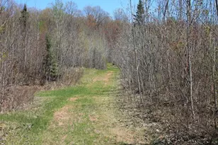 19081 N Erickson Rd, Dunbar, WI 54119 - Photo 71