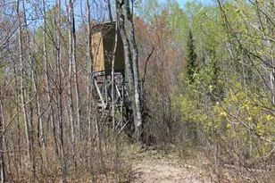 19081 N Erickson Rd, Dunbar, WI 54119 - Photo 69