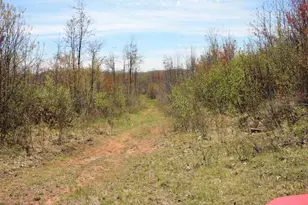 19081 N Erickson Rd, Dunbar, WI 54119 - Photo 27