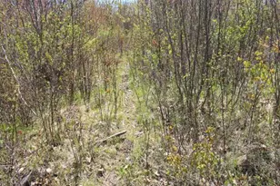 19081 N Erickson Rd, Dunbar, WI 54119 - Photo 25