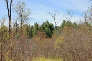19081 N Erickson Rd, Dunbar, WI 54119 - Photo 35