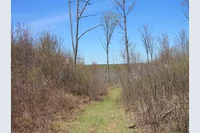 19081 N Erickson Road, Dunbar, WI 54119 - Photo 65