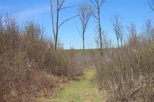 19081 N Erickson Rd, Dunbar, WI 54119 - Photo 65