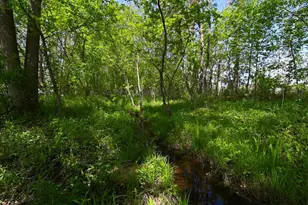 6478 Main St, Abrams, WI 54101 - Photo 51