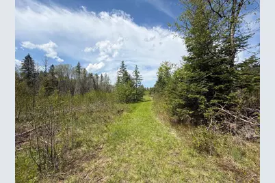 W6486 Snow Road, Daggett, MI 49821 - Photo 31