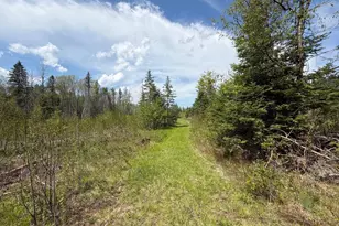 W6486 Snow Rd, Daggett, MI 49821 - Photo 31